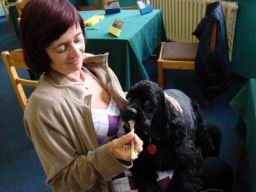 Resize of DSC05833.JPG